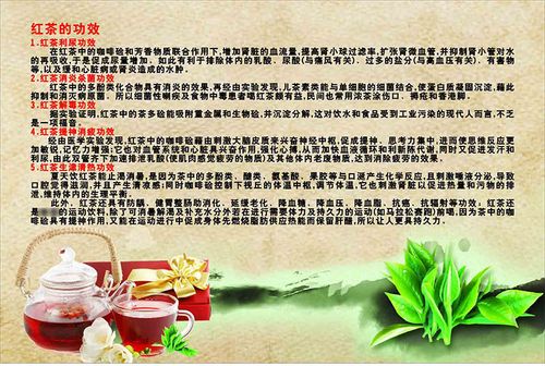 209海报展板素材(制作)391茶叶店装饰画红茶的功效介绍海报印制