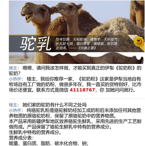 可以从迪拜带骆驼奶香港万宁有卖吗?