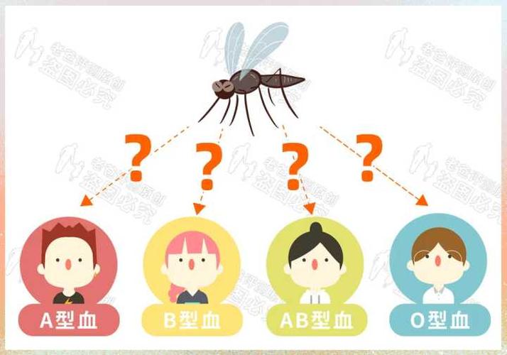 还有一些人认为, 蚊子叮咬跟人的血型有关,埋怨自己血型不好.