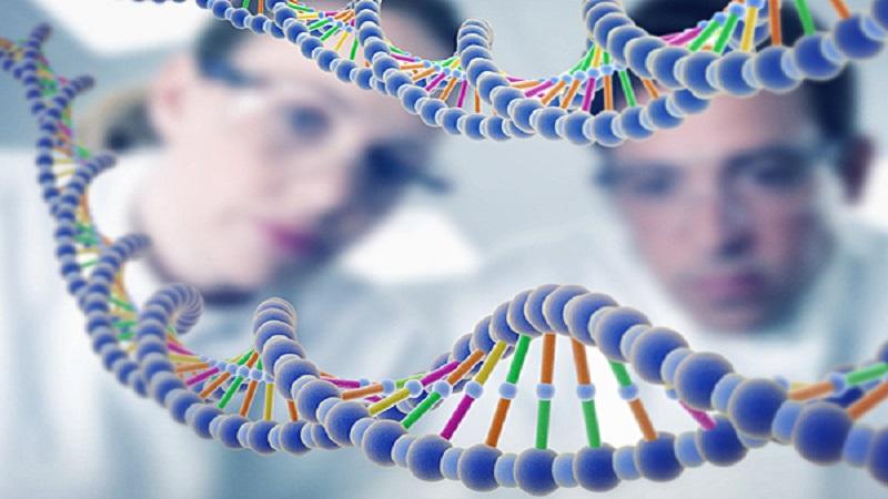 我们为什么需要转基因技术?