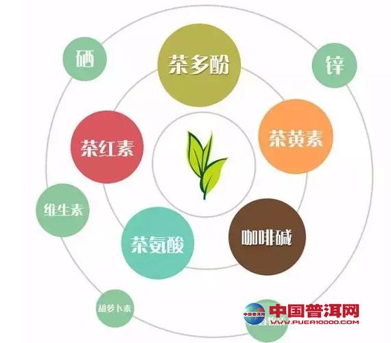 关于茶叶可以防癌的证据-普洱茶功效与作用-功效与禁忌-中国普洱网