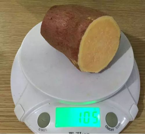 糖尿病人能不能吃红薯全身都是宝但糖友千万不能这么吃