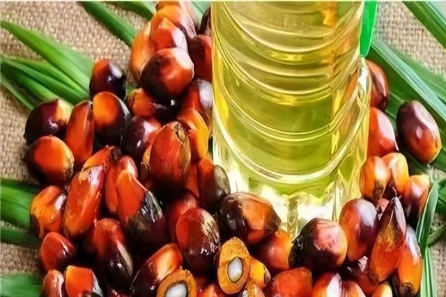 印尼为什么偏爱便宜的棕榈油一宣布停止出口众人慌了