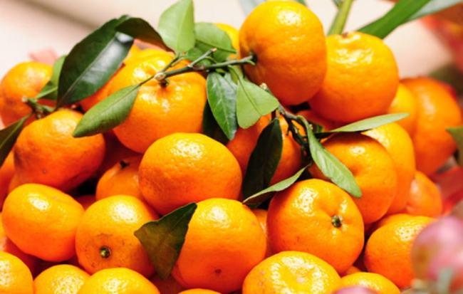 橘子的功效与作用禁忌