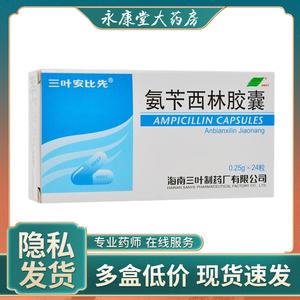三叶安比先 氨苄西林胶囊24粒/盒 用于敏感致病菌所致呼吸道感染泌尿