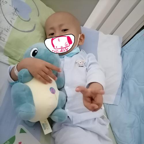 三岁男娃身患肝母细胞瘤等待救助
