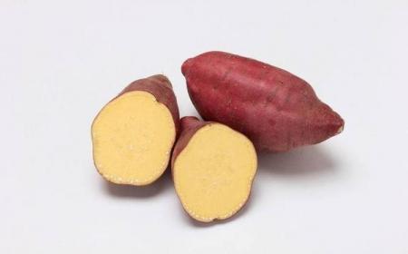 【白地瓜热量高不高能不能减肥】吃红薯可以通便减肥 抗衰老-小胡生活