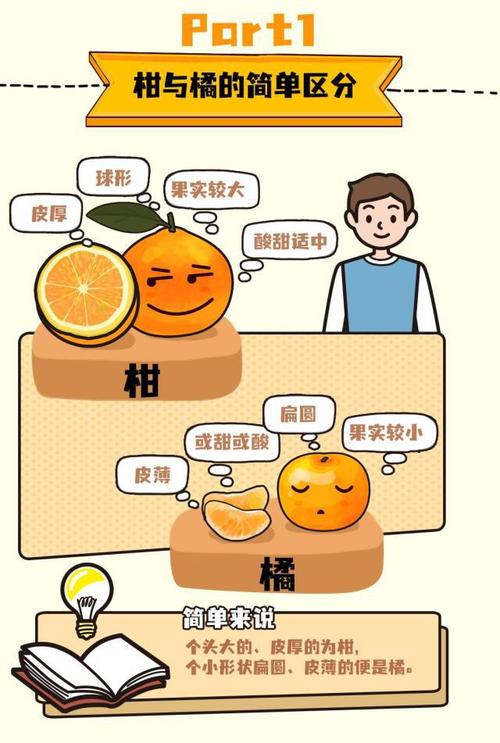 十几种柑橘傻傻分不清一张图让你看得清楚吃得明白