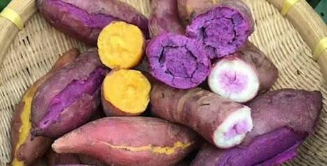 紫薯和红薯哪个热量低,芋头和紫薯哪个热量高图2