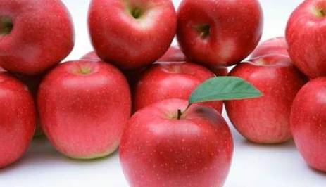常吃苹果能降低体内血液中的胆固醇含量,对高血压患者很有好处