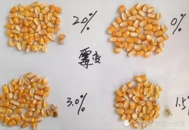 饲料脱霉剂分类详解,一图教你分辨玉米霉变程度|饲料|霉菌毒素|玉米