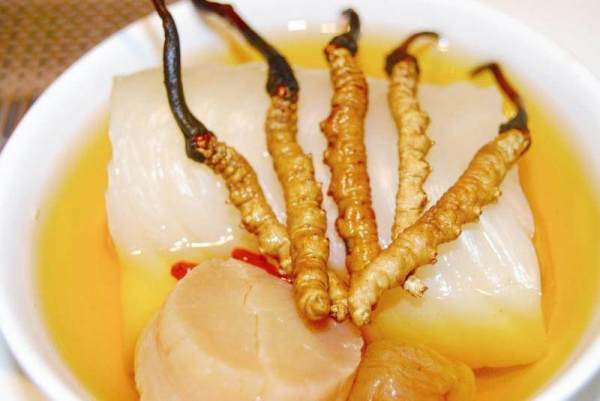 正确吃法二:虫草红枣炖甲鱼