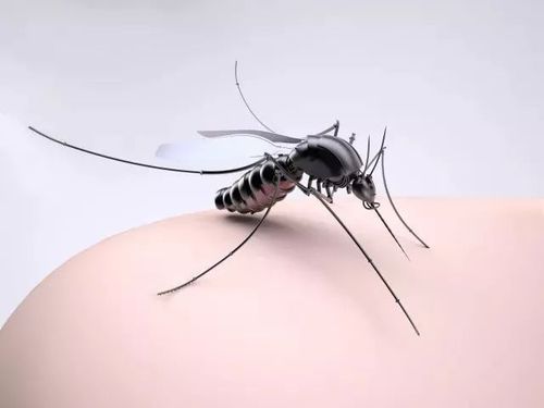 据现有研究表明,其实蚊子爱叮哪些人,和血型,性别等没啥直接联系.