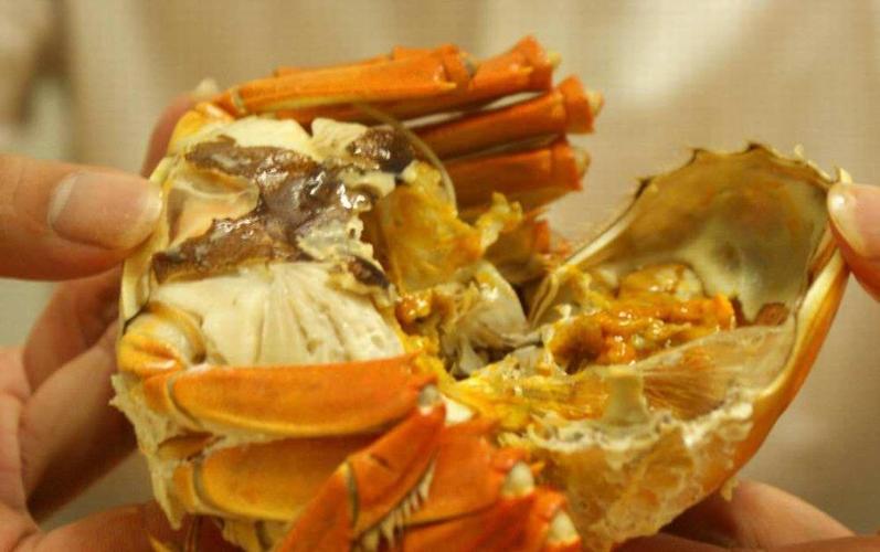 当天刚死的螃蟹能不能吃哪些部位是不能吃的注意事项需了解