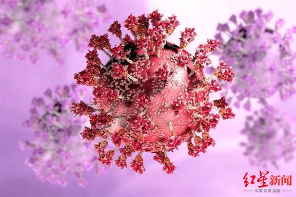据权威期刊《自然·通讯》近日发表的一项研究,新冠病毒在感染人体