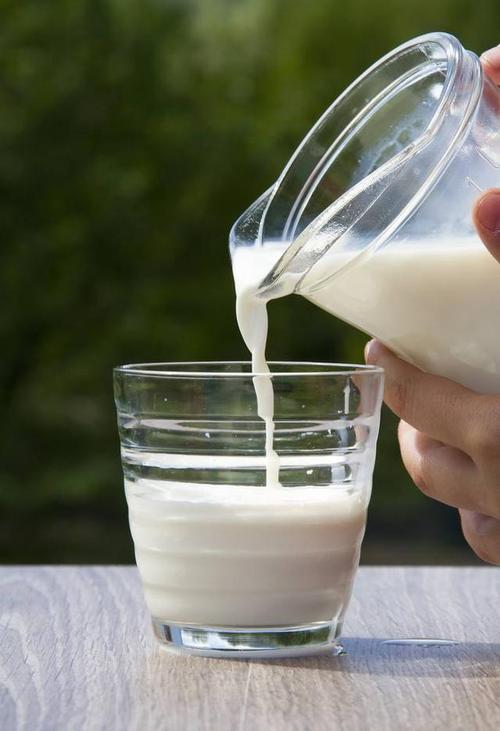 中医为什么不建议女性每天喝牛奶也许有很多人还不清楚