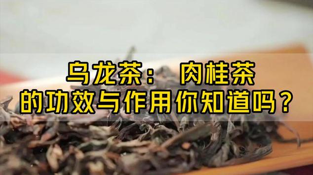 茶叶篇:肉桂茶竟然还有这些功效和作用?霸气…|香草|乌龙茶_网易视频