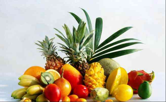 这些热带水果你都吃过吗?带你品尝美味可口的热带水果!