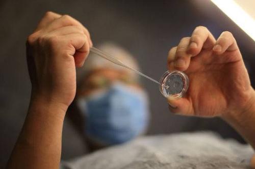 人工受孕程序出纰漏 荷兰26名妇女接受错误精子(图)