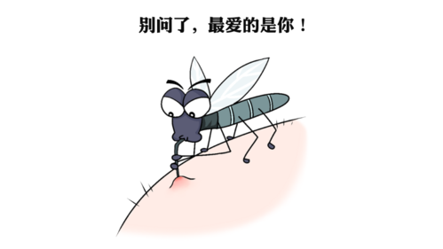 很多人认为,蚊子喜欢o型血的人,但其实蚊子不挑血型.