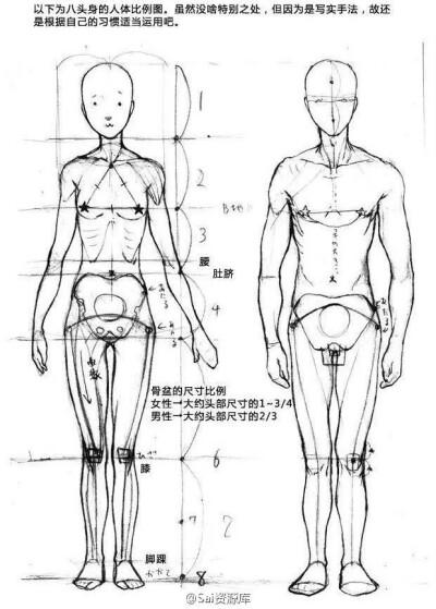 人体各种姿势手绘构图.