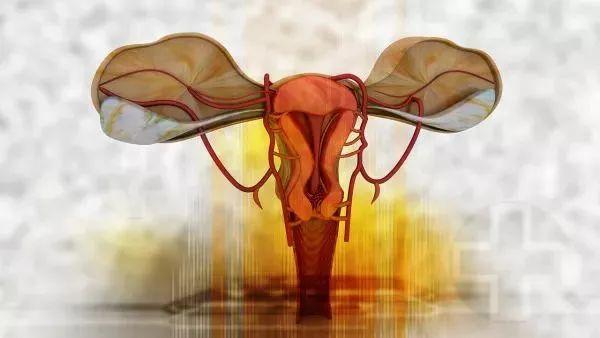 对于那些已经很久没有性生活,或者卵巢开始退化的女性来说,阴道干燥