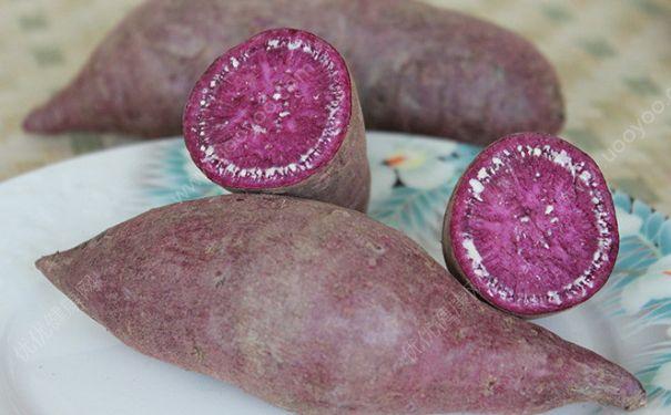 孕妇吃紫薯对胎儿好吗孕妇吃紫薯的功效与作用多图