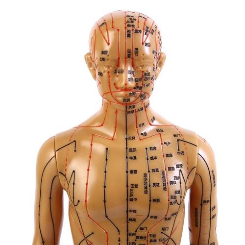 穴位模型人针灸穴位人体模型可扎针全身中医人模经络用教学铜小人
