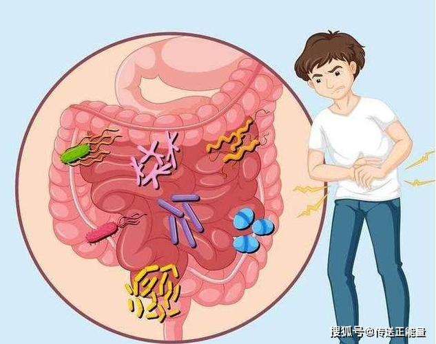 引发肠道菌群失调,出现腹胀腹泻的问题,这种情况也被称之为细菌性肠炎