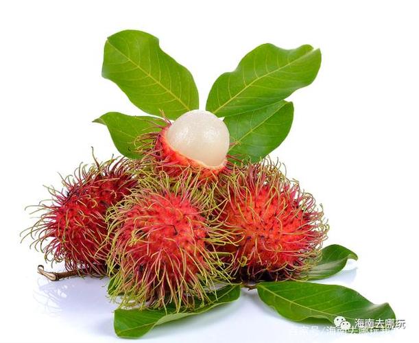 推荐:海南应季热带水果上市时间表,一年四季都有的吃!