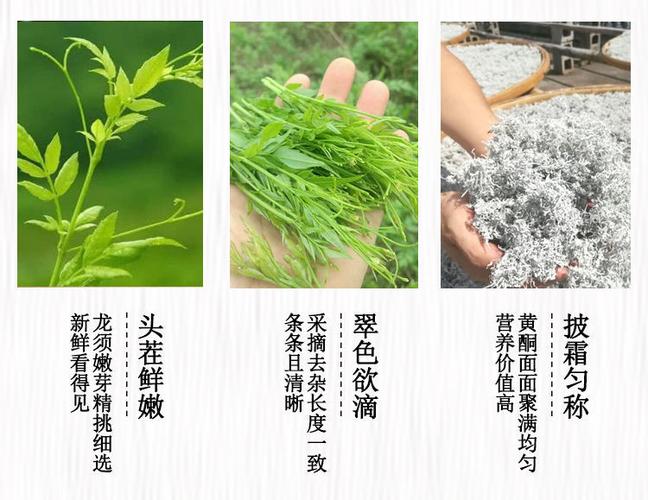 莓茶医学功效_莓茶的功效与禁忌_长寿莓茶的功效与作用