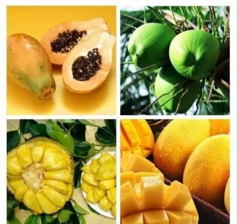 热带水果top 3海南岛四面环海,是我国绿色生态大省,海产品极为丰富,是