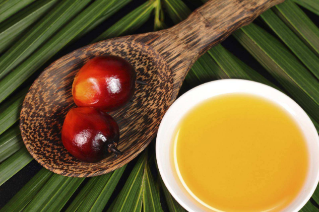 棕榈油的用途与使用标准常吃棕榈油有哪些危害