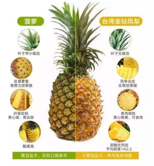 菠萝和凤梨有何区别?看完这张图秒懂