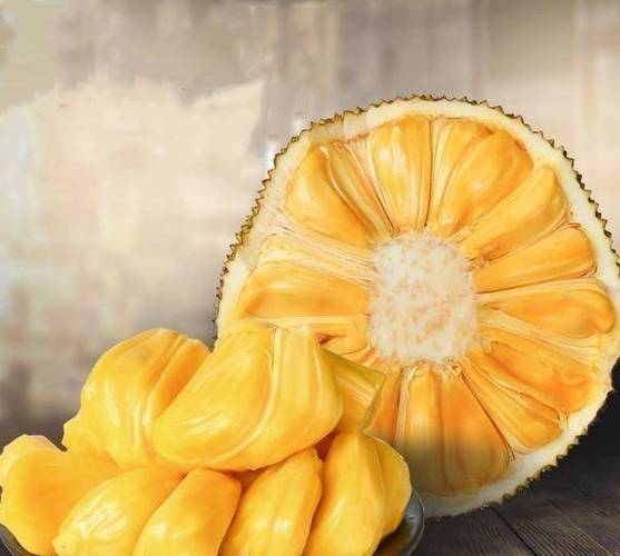 冠有水果皇后美誉的菠萝蜜全身都是宝吃到嘴里甜香润滑