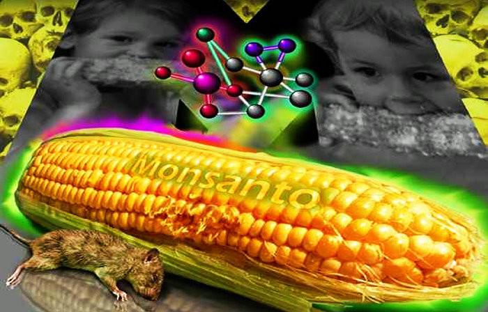 【转载】美国科学研究院正式宣布 转基因食品严重危害人体健康