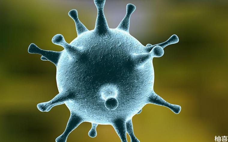 感染巨细胞病毒并非不能治愈3大治疗手段来助力
